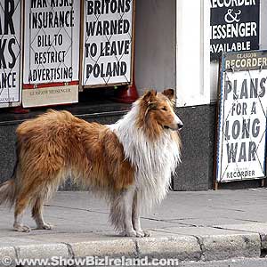 lassie the movie